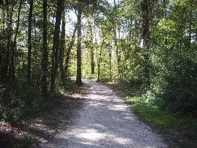 St Pierre du Perray